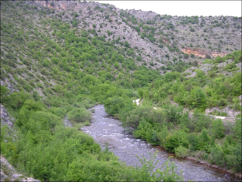 Krcic (14)